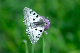 image0289