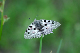 image0291