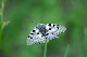 image0292