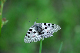 image0293