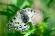 image0295