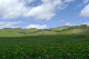 image0299