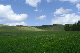 image0300