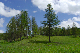 image0302
