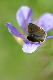 image0304