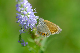 image0305