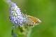 image0306