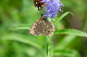 image0307