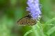 image0308