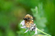 image0310