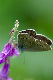 image0312