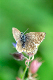 image0313