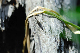 image0314
