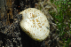 image0316