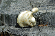 image0317