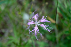 image0318