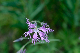image0319