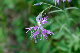 image0320