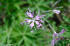 image0321