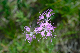 image0322