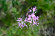 image0323