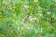 image0324