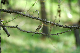 image0325