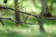image0326
