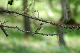 image0327