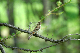 image0328