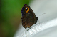 image0330