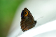 image0331