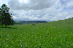 image0332