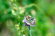 image0334