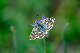 image0338
