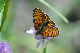 image0340