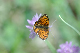 image0341