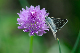 image0342