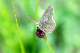 image0345