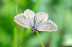 image0346