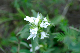image0348