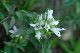 image0349