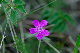image0350