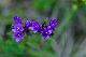 image0351