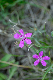 image0352