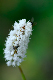 image0353