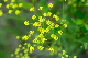 image0354