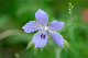 image0355