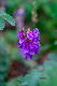image0356