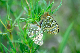 image0357